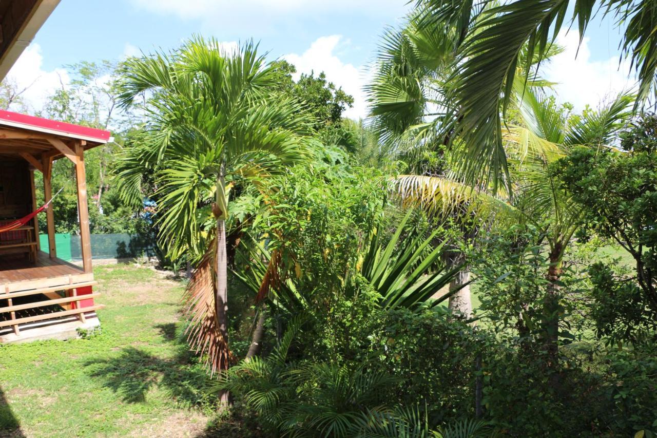 Les Z’Alizés Villa Le Moule Esterno foto