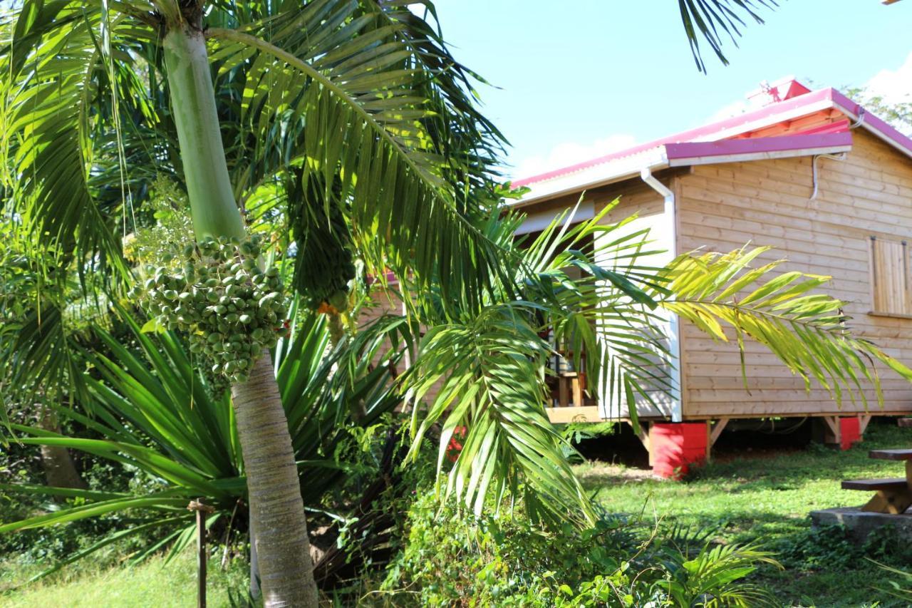 Les Z’Alizés Villa Le Moule Esterno foto